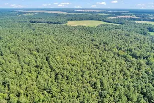 356 Massey-Doss Rd, Keysville, GA 30816 - Photo 14