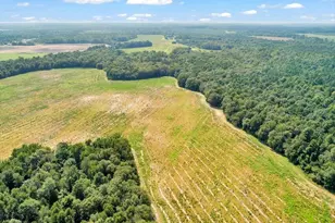 356 Massey-Doss Rd, Keysville, GA 30816 - Photo 12