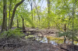 129 Brannen Landing Landing, Midville, GA 30441 - Photo 40