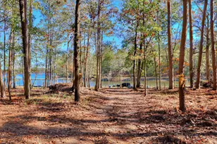 1076 Providence Ferry Rd, Lincolnton, GA 30817 - Photo 62