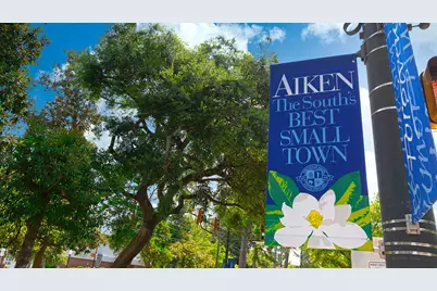 3025 Fancy Trail, Aiken, SC 29803 - Photo 6