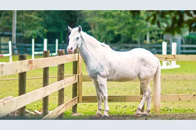 3025 Fancy Trail, Aiken, SC 29803 - Photo 8
