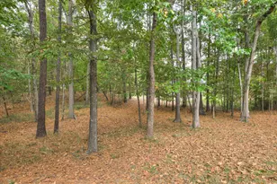 220 Osprey Point, North Augusta, SC 29841 - Photo 62