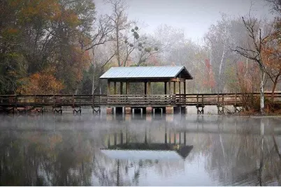 308 Bradleyville Road Road, North Augusta, SC 29841 - Photo 30