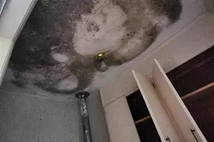 385 W Trippe St, Harlem, GA 30814 - Photo 14