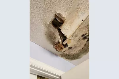 385 W Trippe Street, Harlem, GA 30814 - Photo 24