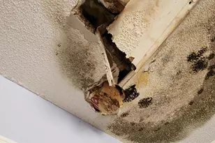 385 W Trippe St, Harlem, GA 30814 - Photo 24