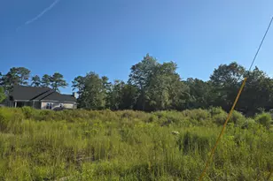 3973 Scott St, Augusta, GA 30909 - Photo 1