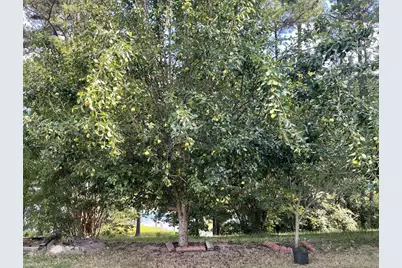 4009 Waccamaw Drive, Martinez, GA 30907 - Photo 16