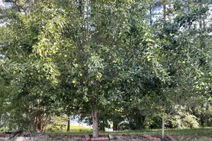 4009 Waccamaw Dr, Martinez, GA 30907 - Photo 16