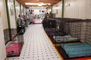 2765 Steiner Pl Rd, Waynesboro, GA 30830 - Photo 62