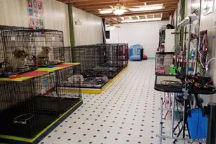 2765 Steiner Pl Rd, Waynesboro, GA 30830 - Photo 68