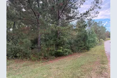 13 Pindo Pass, North Augusta, SC 29860 - Photo 2