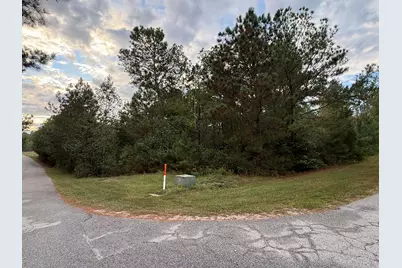 13 Pindo Pass, North Augusta, SC 29860 - Photo 1