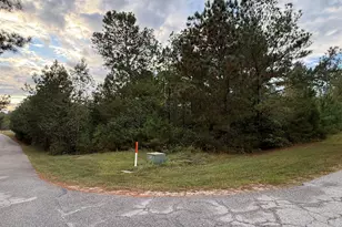 13 Pindo Pass, North Augusta, SC 29860 - Photo 1