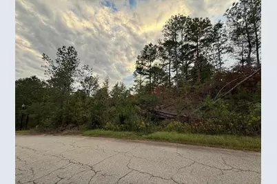 14 Pindo Pass, North Augusta, SC 29860 - Photo 2