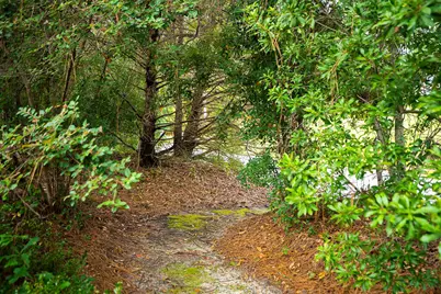 164 Pink Dogwood Circle, Aiken, SC 29803 - Photo 40