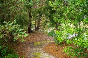 164 Pink Dogwood Cir, Aiken, SC 29803 - Photo 40