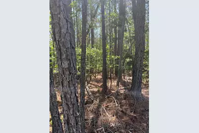 L14 B39 Antioch Drive, McCormick, SC 29835 - Photo 2