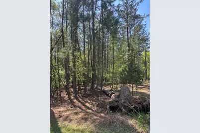 L14 B39 Antioch Drive, McCormick, SC 29835 - Photo 4