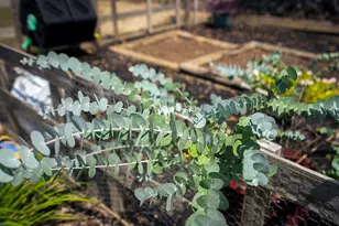 2686 New Hope Cir, Hephzibah, GA 30815 - Photo 70