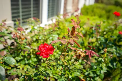 2686 New Hope Circle, Hephzibah, GA 30815 - Photo 10