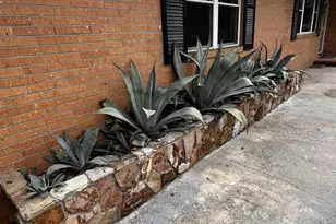 3641 Lake Shore Dr, Martinez, GA 30907 - Photo 2