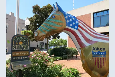 774 Brisbane Court, Graniteville, SC 29829 - Photo 26