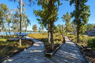 397 Black Rail Ln, Evans, GA 30809 - Photo 58