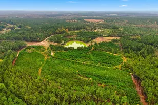 2427 Wire Rd, Aiken, SC 29805 - Photo 48