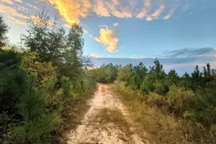 2427 Wire Rd, Aiken, SC 29805 - Photo 28