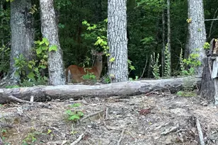 1030 Candleberry Dr, Grovetown, GA 30813 - Photo 44