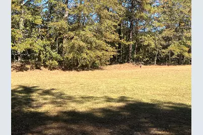 110 Stratford Lane Lane, Thomson, GA 30824 - Photo 16