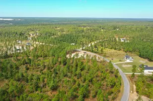 1024 Drayton Ct, Aiken, SC 29801 - Photo 44