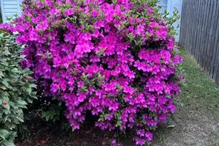 1729 Oak Dr, Augusta, GA 30904 - Photo 8