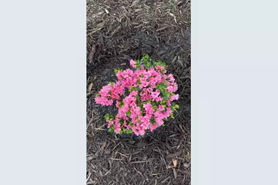 1729 Oak Drive, Augusta, GA 30904 - Photo 6