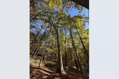 167 Southwind Drive, McCormick, SC 29835 - Photo 8