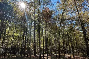 167 Southwind Dr, McCormick, SC 29835 - Photo 1