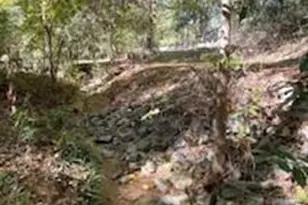 335 Saddletree Ln, Martinez, GA 30907 - Photo 28