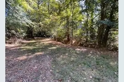 335 Saddletree Lane, Martinez, GA 30907 - Photo 26