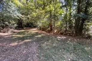 335 Saddletree Ln, Martinez, GA 30907 - Photo 26