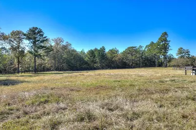 30 Old Mulberry Farms Trail Road, Wagener, SC 29164 - Photo 46