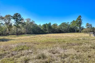 30 Old Mulberry Farms Trail Rd, Wagener, SC 29164 - Photo 46