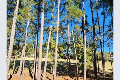 314 Palmer Lane, McCormick, SC 29835 - Photo 46