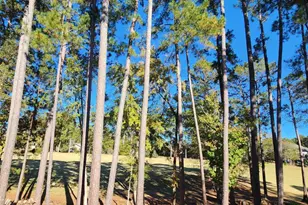 314 Palmer Ln, McCormick, SC 29835 - Photo 46