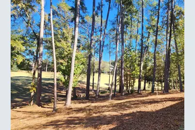 314 Palmer Lane, McCormick, SC 29835 - Photo 44