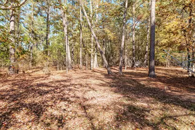 326 Sand Rock Way, Trenton, SC 29847 - Photo 46