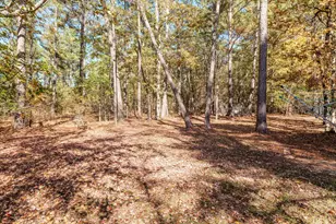 326 Sand Rock Way, Trenton, SC 29847 - Photo 46