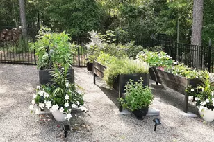 6010 Crawley Trl, Beech Island, SC 29842 - Photo 22