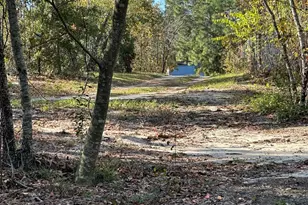 3009 Camp Josey Rd, Blythe, GA 30805 - Photo 4